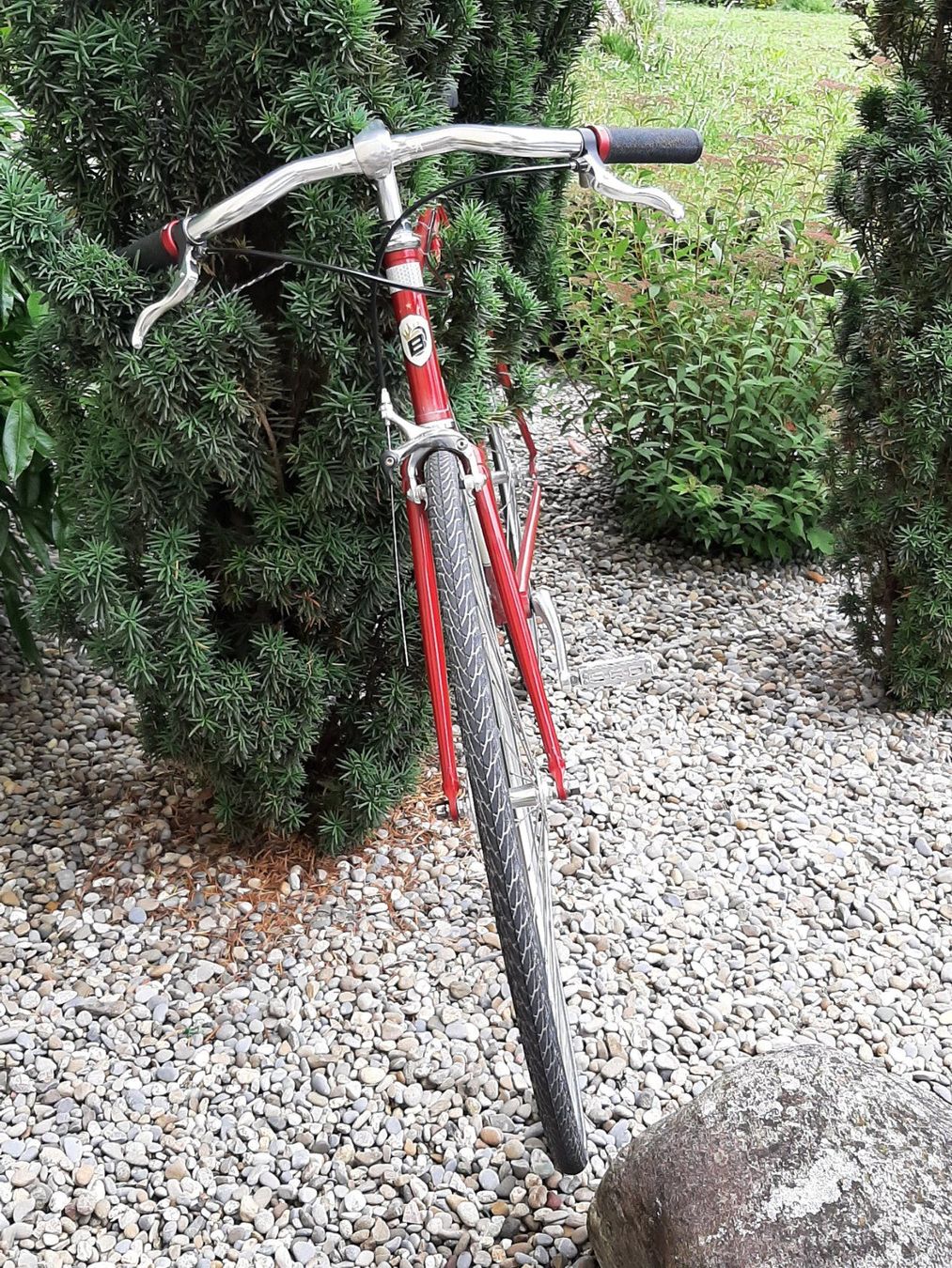 Bergamont Velos: Singlespeed / Fixie – Gebraucht aus Schwadernau von Henry04 2