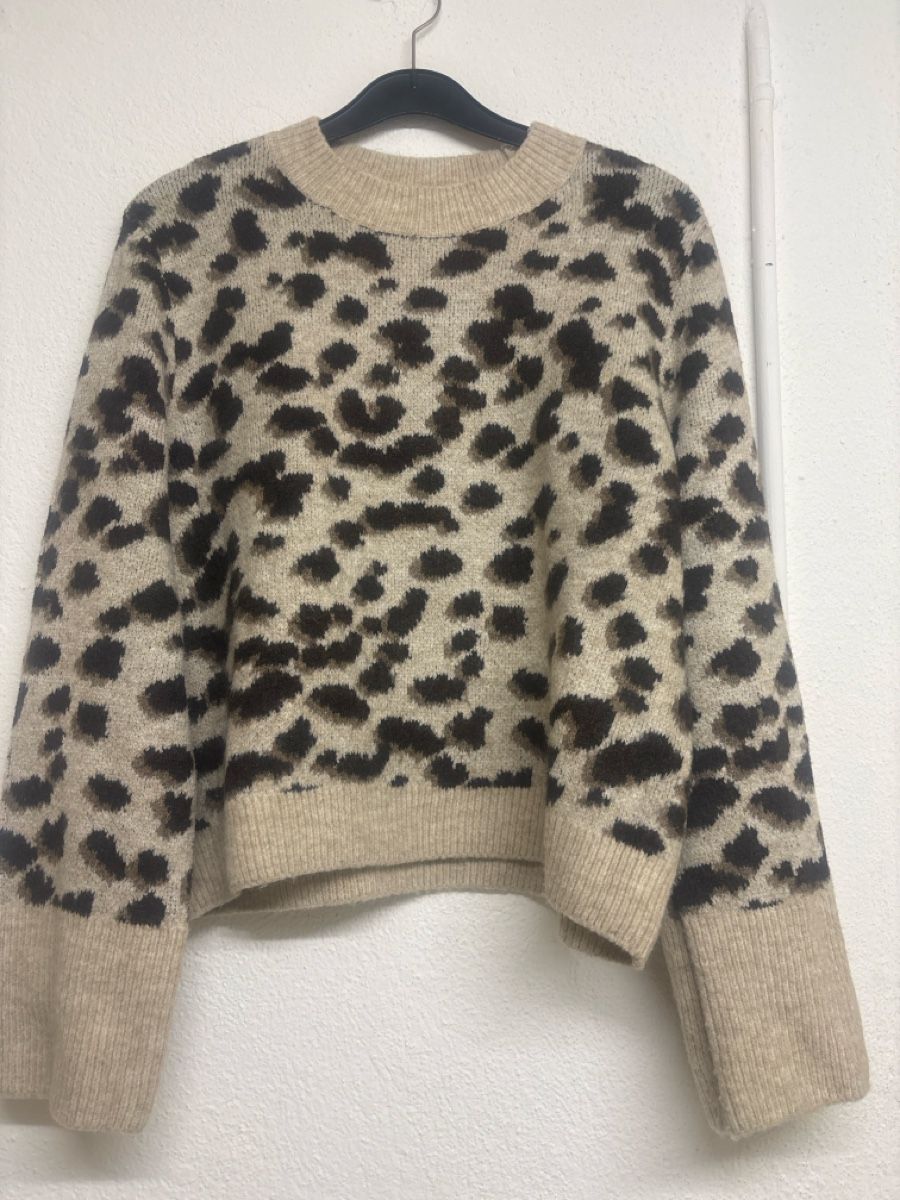 H&M Maglioni & Felpe: H&M Pullover Leo Muster Grösse S guter Zustand – Usato da Wallisellen venduto da ASZT 1