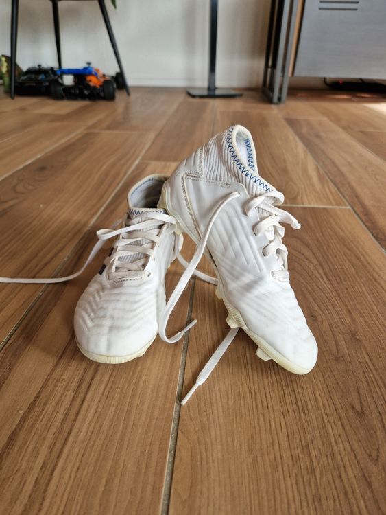 adidas predator 31