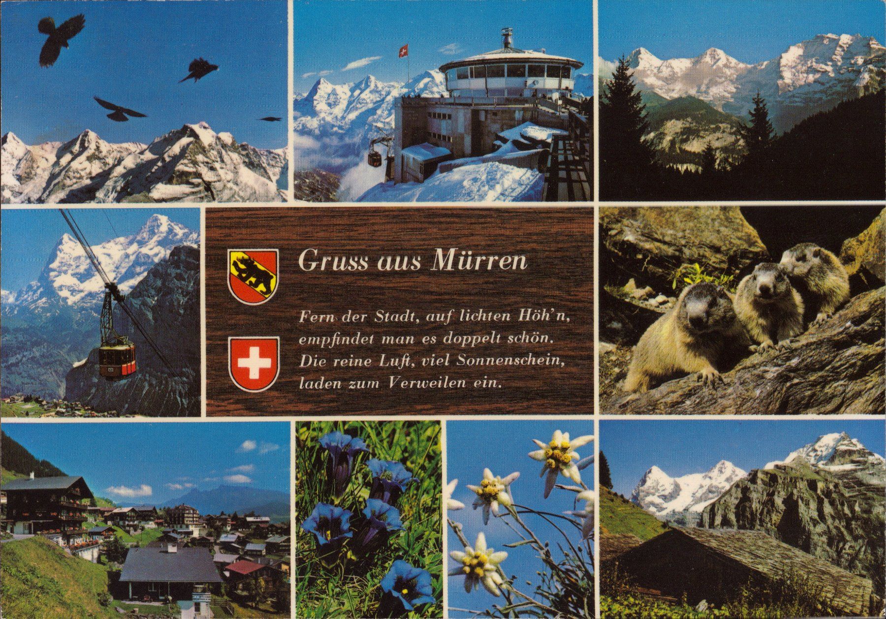 Ansichtskarten: 1979 AK Mürren - Schilthorn – Gebraucht aus Eggersriet von stamp303