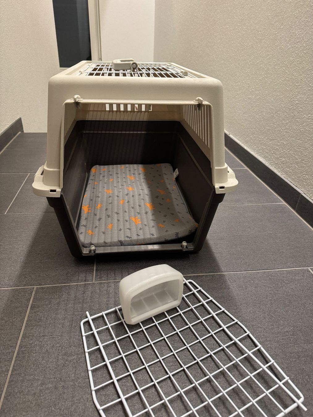 Cages, transport & sécurité: Katzentransportbox – D'occasion à Illnau par ani_5ykv