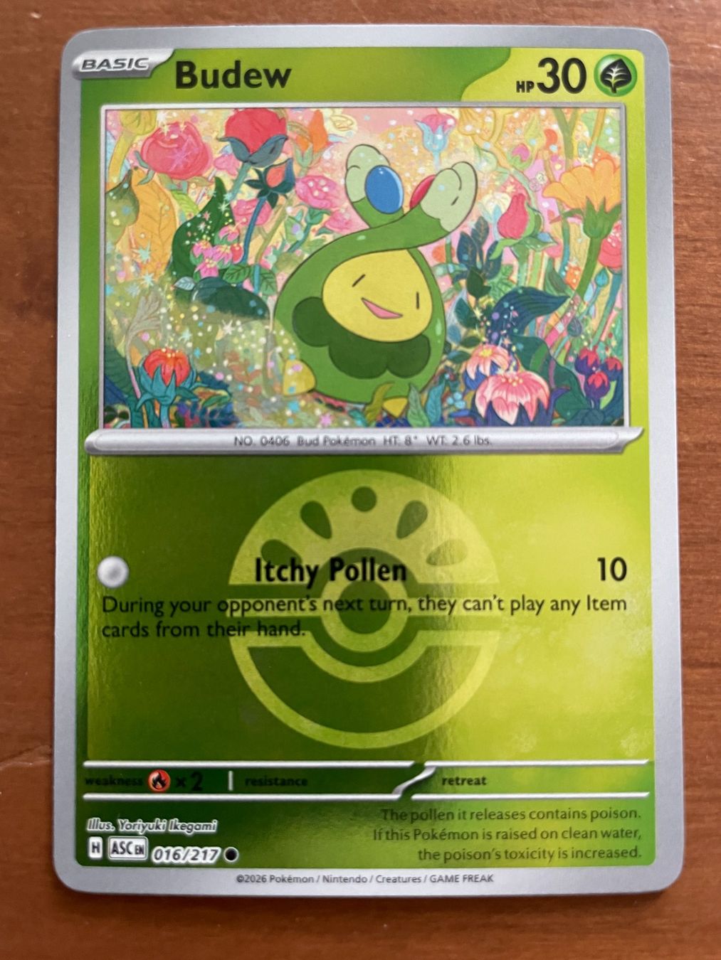 Pokémon Sammelbilder & Trading cards: Pokemon Budew Reverse (Versand gratis) – Neu (gemäss Beschreibung) aus Chur von Angerson