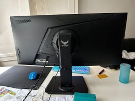 ASUS TUF Gaming Monitor 34 Zoll Curved gebraucht