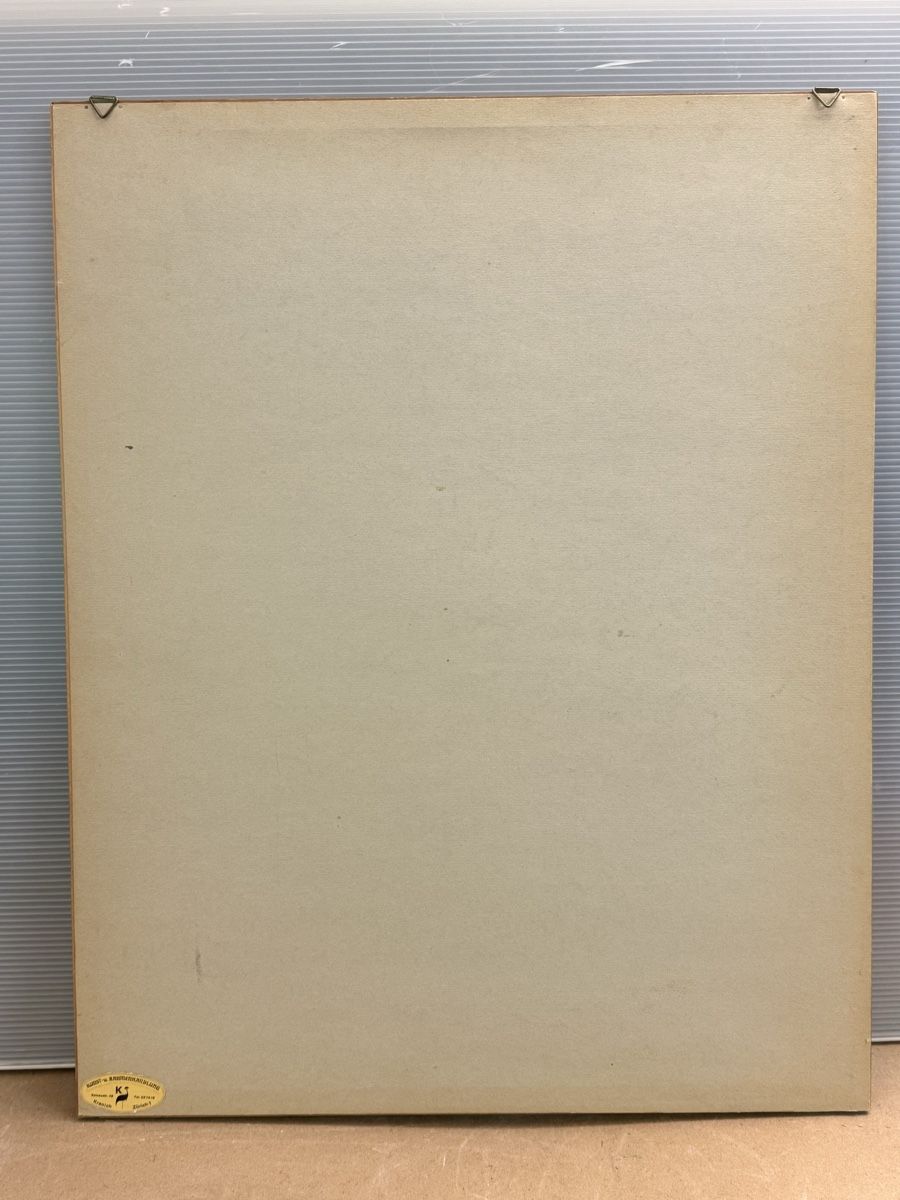 Grafica & Litografie: Zender Rudolf, handsigniert – Usato da Solothurn venduto da NUVICO 5