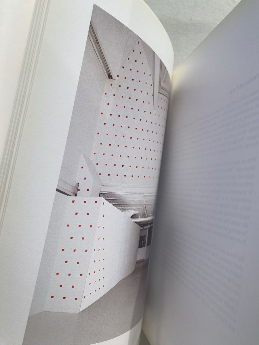 Libri: Carl Andre, Alan Charlton, Niele Toroni Buch CAN – Usato da Zürich venduto da lesgarcons 2
