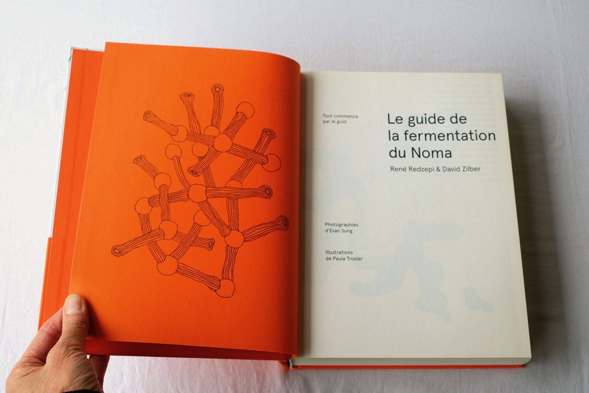 Livres: Le guide de fermentation du NOMA – D'occasion à Morgins par Laurentcorinne 1