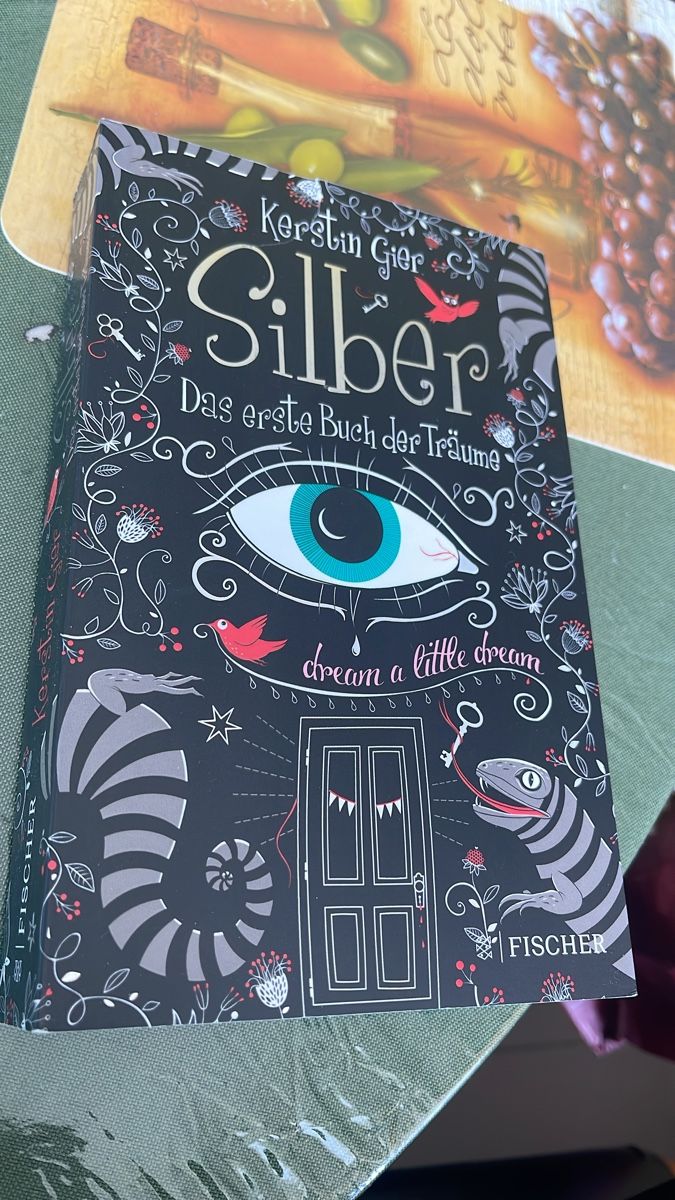 Bücher: Kerstin Gier - Silber: Das erste Buch der Träume ✨ – Gebraucht aus Zürich von Belisimo