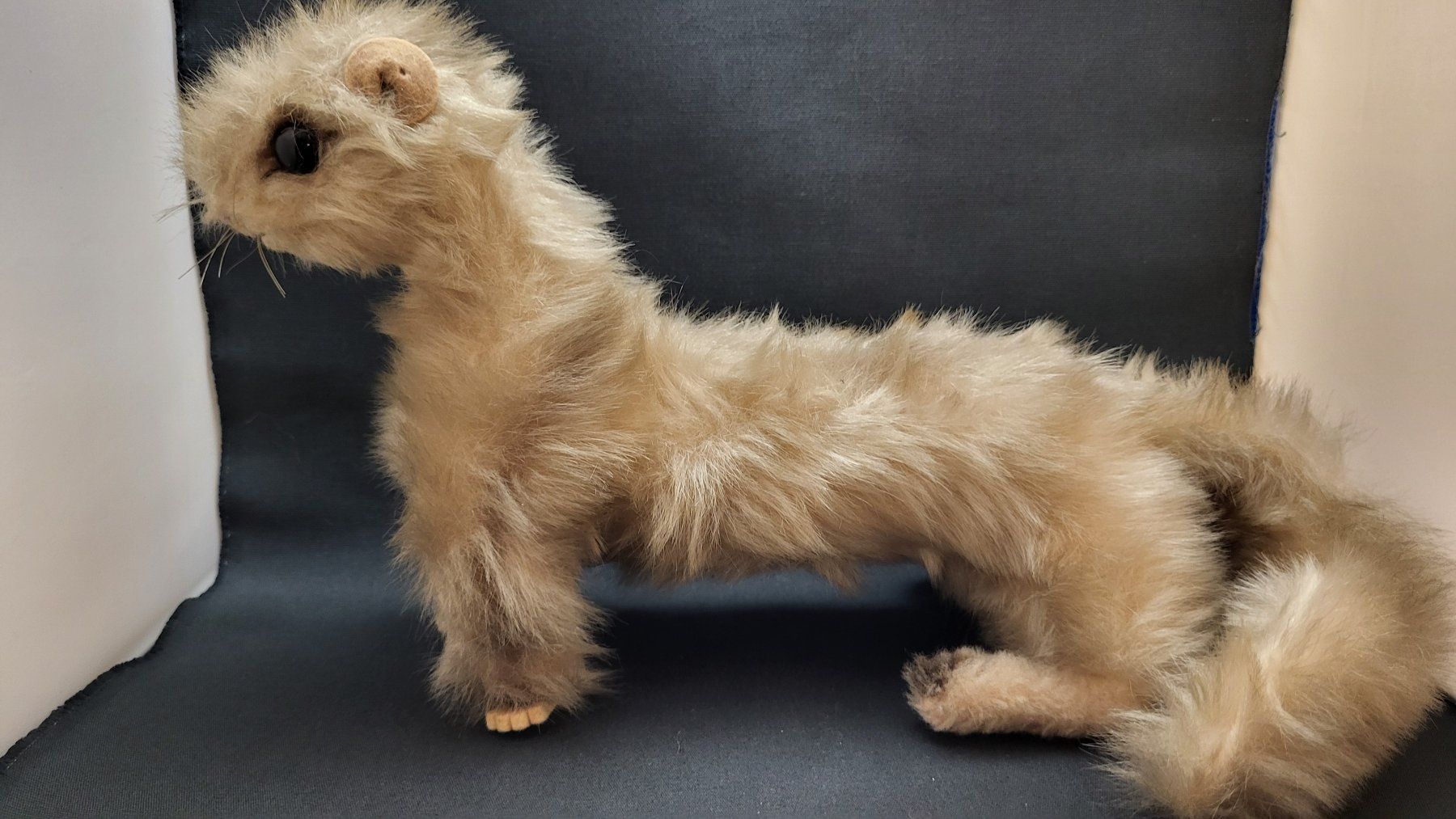 Steiff Giocattoli: STEIFF Wiesel Minky – Usato da Basel venduto da spinne02 2
