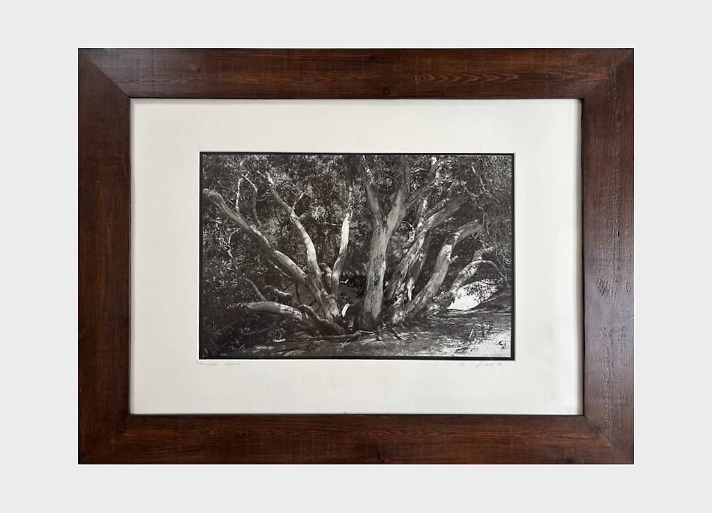 Foto & Immagini: Triptyque photographique argentique signé | édition limitée  – Usato da Jussy venduto da bru_xl8z 2