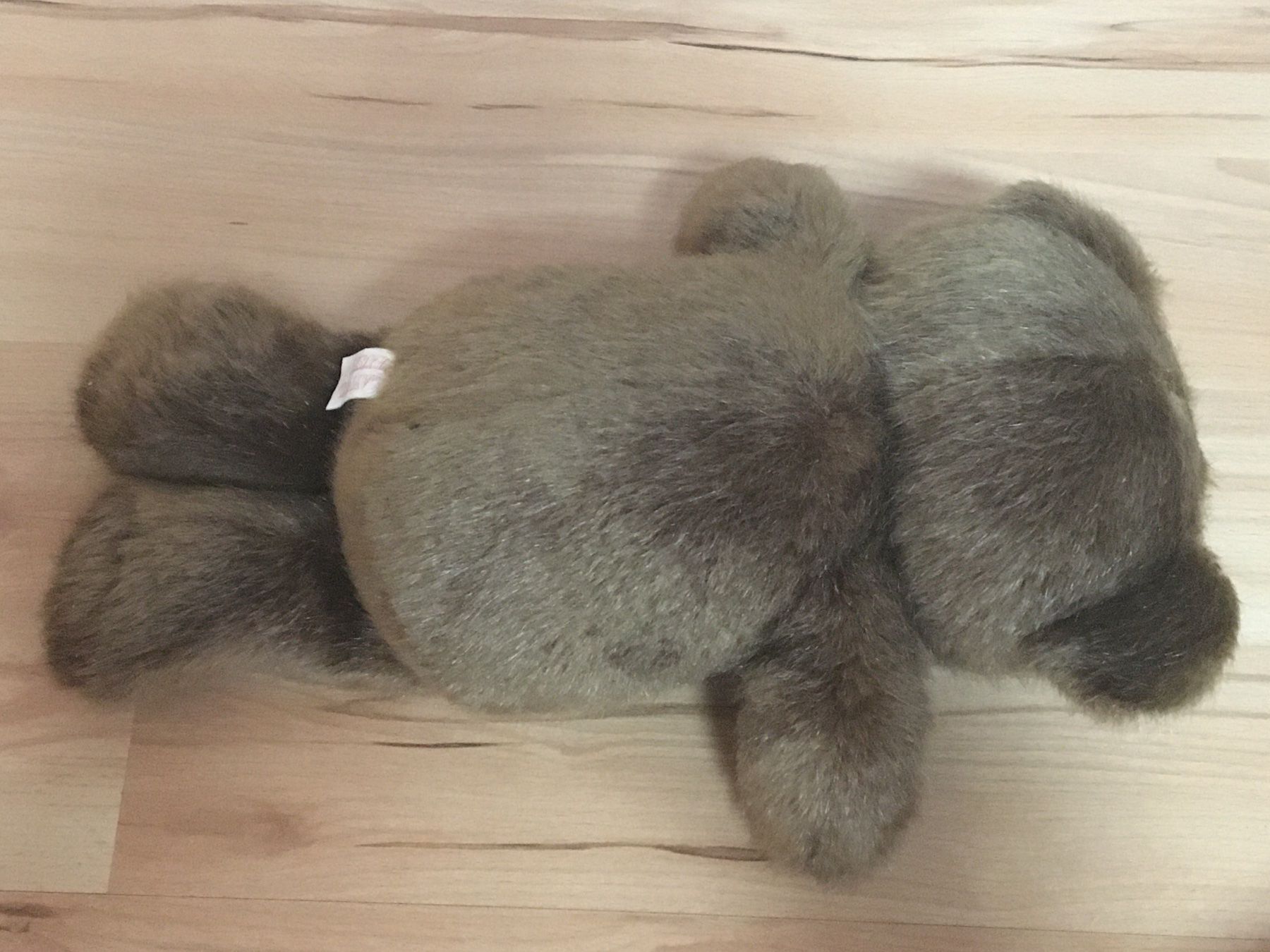 Spielzeuge: Teddybär Plüschtier neuwertig – Gebraucht aus Löhningen von Chimae67 3