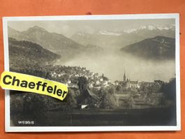 Weggis Postkarte, alte Ansichtskarte mit Bergpanorama!