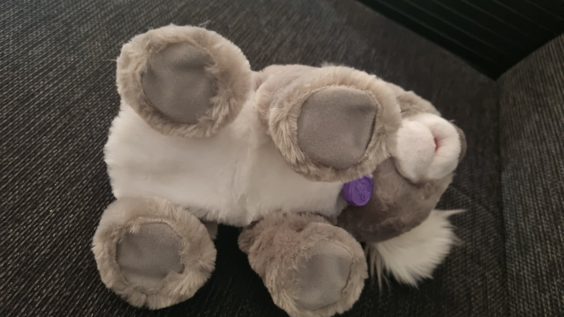FurReal Jouets: FurReal Koala Pluesch mit Flasche – D'occasion à Winterthur par Pigeonblanc 4