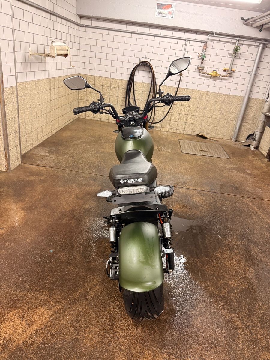 Züriflizzer Scooter: City Max Rs Pro – Usato da Zürich venduto da jsa_b5xn 1