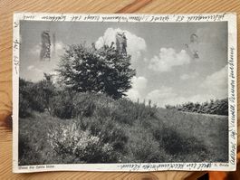 Wenn die Heide blüht - AK 1938