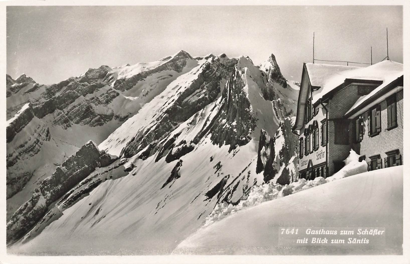 Cartoline postali: Gasthaus zum Schäfler – Usato da Schwyz venduto da Seffi56