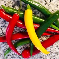 Ab 5.- fr 20 SAMEN MIX CHILI Halb-SCHARFES CAYENNE Piment XL