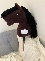 Hobby Horse