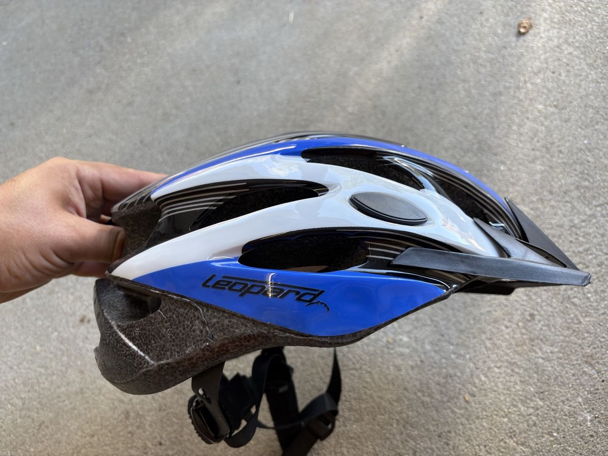 Helme: Casque vélo Léopard Médium (57-59) – Gebraucht aus Villarimboud von hampton2012 4