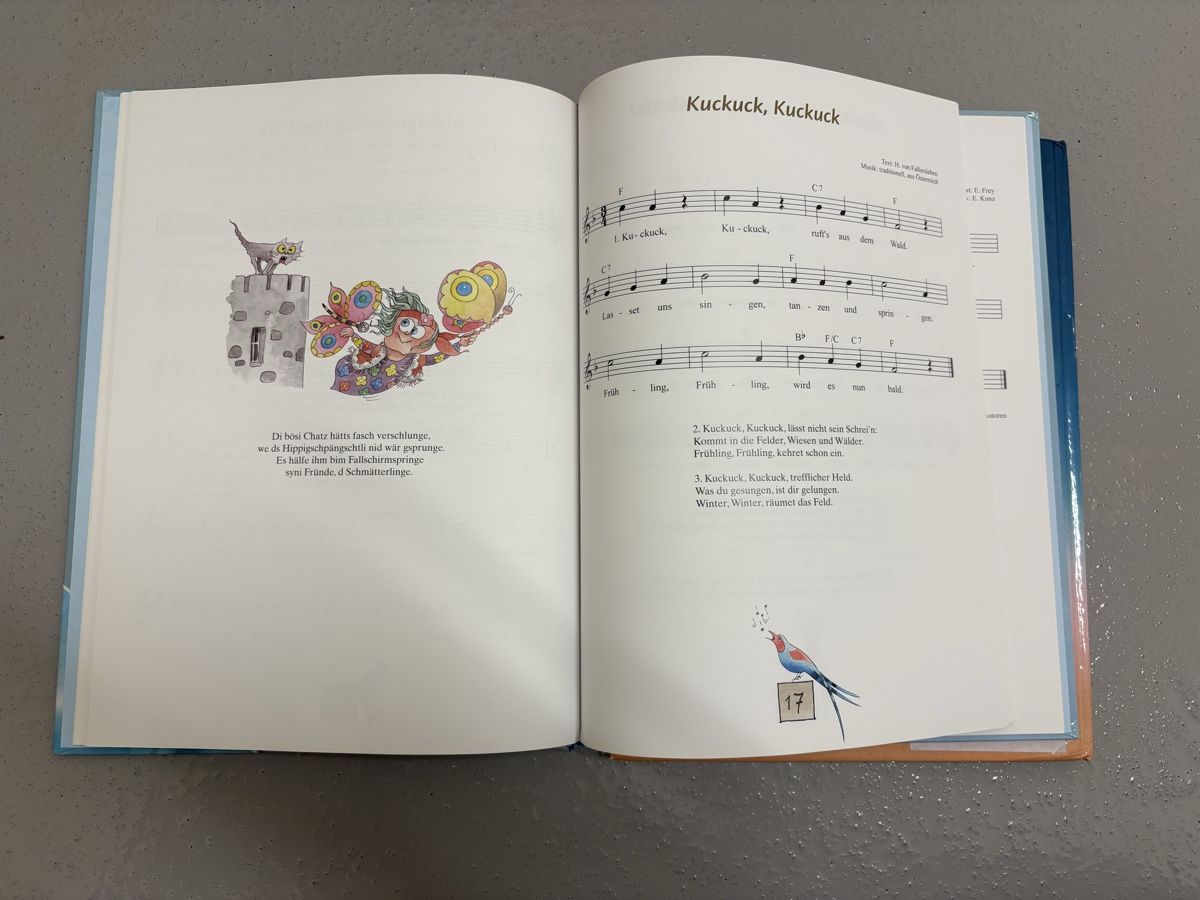 Livres: Peter Reber Chinderlieder Buch ohne CD – D'occasion à Buchrain par Sisi83 2