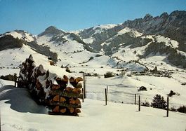 CHARMEY Les champs de ski