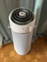 Climatisation Electrolux fleur d'air