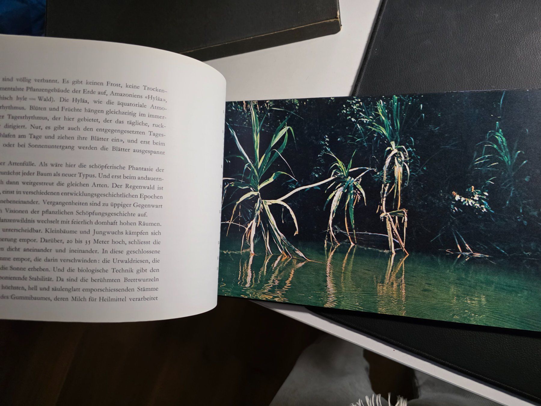 Libri: AMAZONAS - Emil Schulthess - Artemis 1962 – Usato da Walterswil BE venduto da Lonitti 5