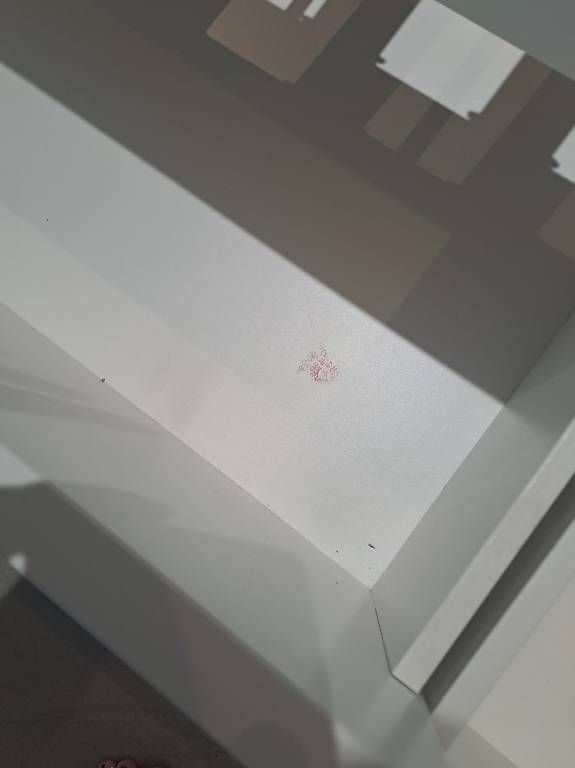 Letti: Gratis: Gebrauchtes Bettgestell inkl. Bettrost & Schubladen – Usato da Solothurn venduto da nat_9ysg 3
