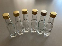 6 Mini Glas Flaschen Leer mit Schraubverschluss