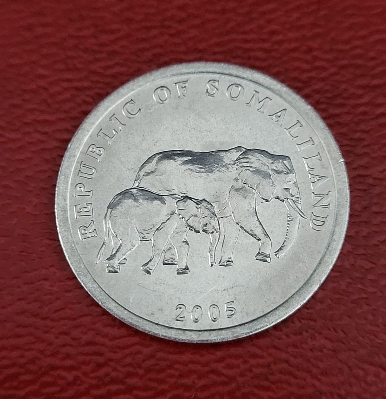 Tutti le monete: Somaliland 5 Shilling 2005 – Usato da Schindellegi venduto da Peter8834