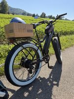 Himiway E-Bike / Fatbike mit hydraulischen Bremsen