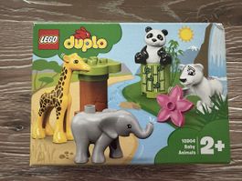 LEGO Duplo 10904 Baby Animals neu und OVP🐘🦒🐼🐻‍❄️