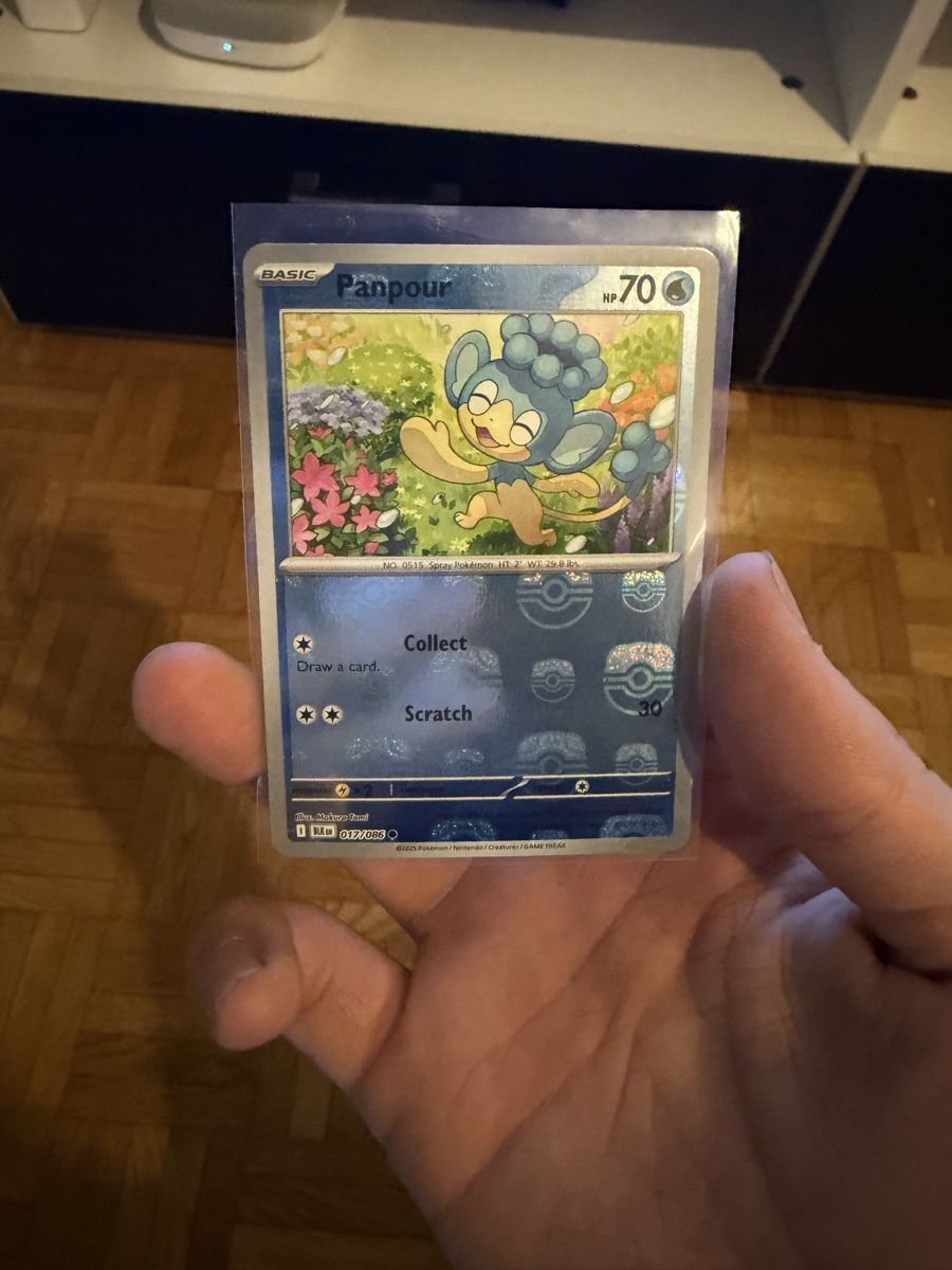 Pokémon Carte collezionabili: Carte Pokémon panpour – Nuovo (secondo la descrizione) da Bellinzona venduto da sa_2025h
