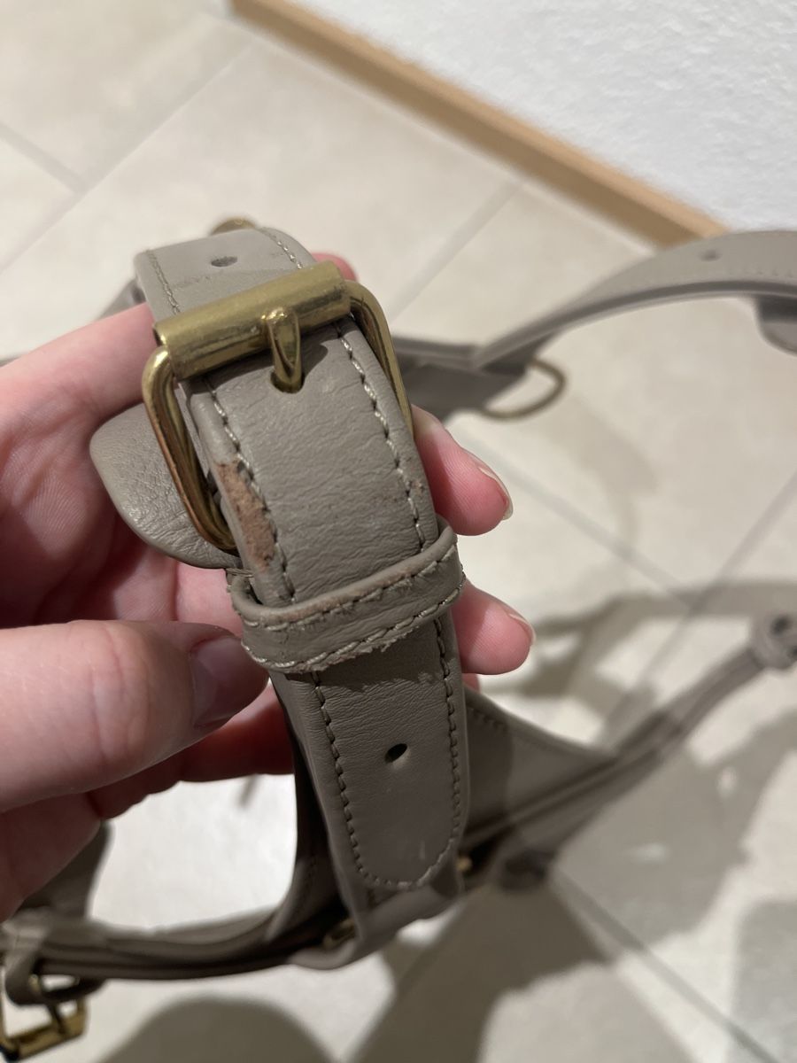 Abbigliamento: Leder-Hundegeschirr – Usato da Niederdorf venduto da Fay1993 3