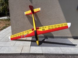 Segelflugzeug Quark 2M, selbsgebaut