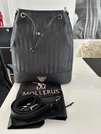 Neue Mollerus Niesen