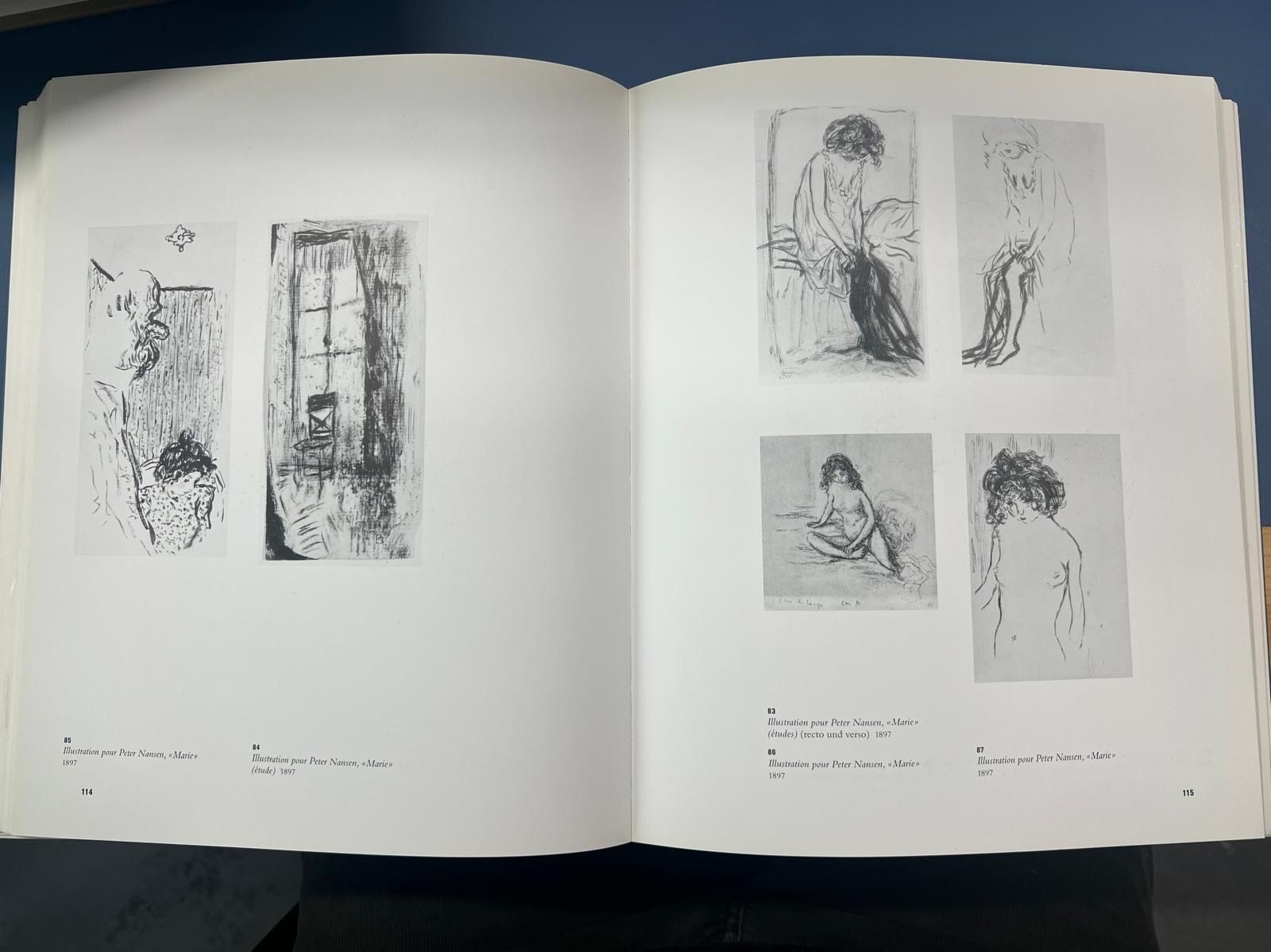 Dipinti: Pierre Bonnard Tuschfederzeichnung – Usato da Horgen venduto da eli_9xdn 3