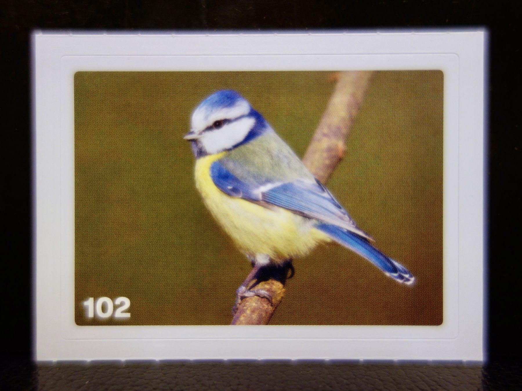 Migros Carte collezionabili: MIGROS MANIA Nature Detectives Nr. 102 – Usato da Kerzers venduto da djstarsky73