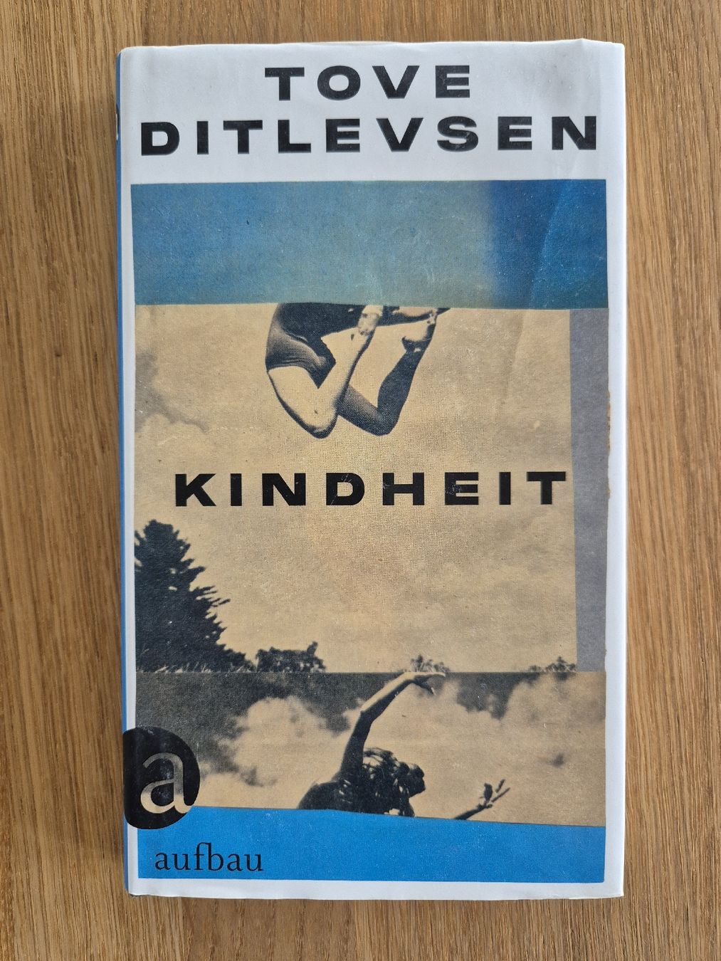 Libri: Tove Ditlevsen "Kindheit" Roman – Usato da Bern venduto da miruslav