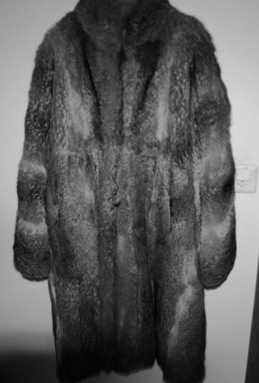 WENDEPELZMANTEL (KANINCHEN?, HASE?) | Kaufen auf Ricardo