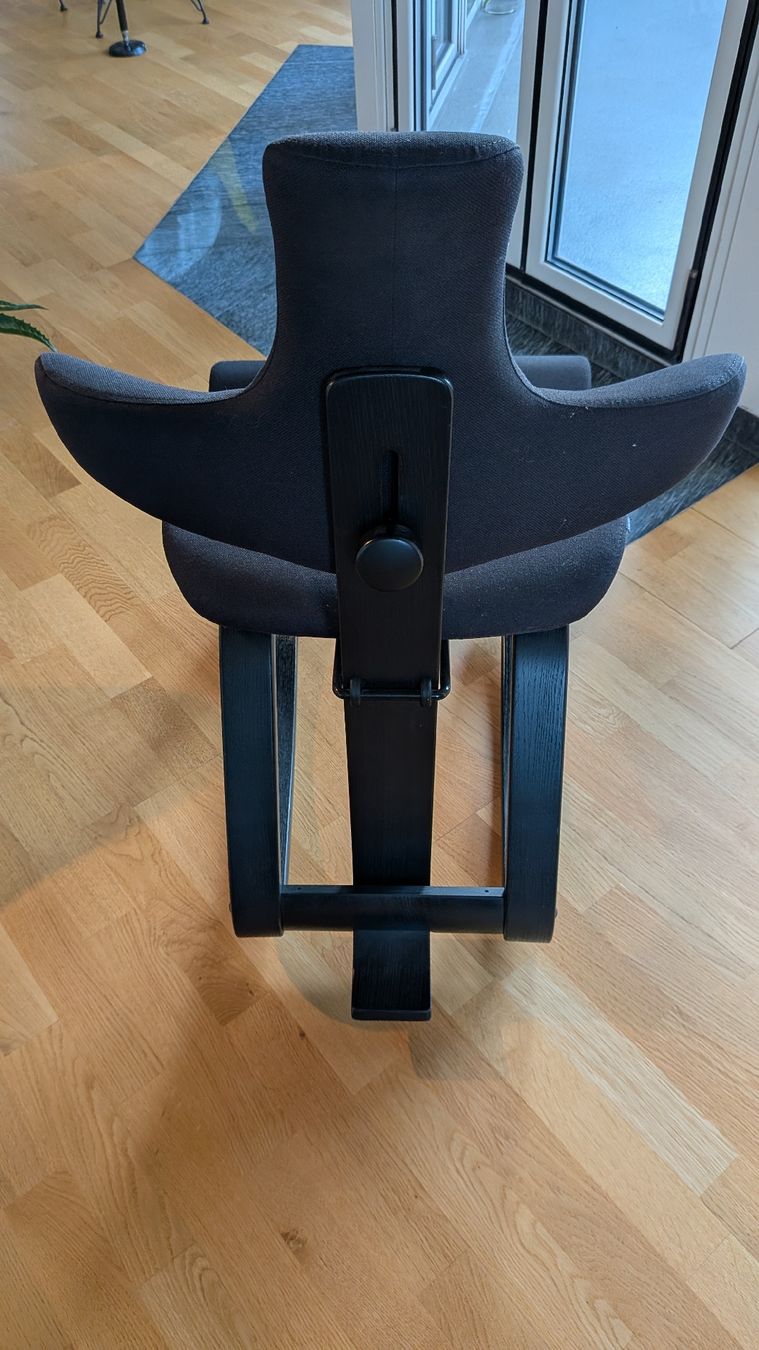 Varier Stühle: Varier Thatsit – Gebraucht aus Comano von gio_fxz9 3