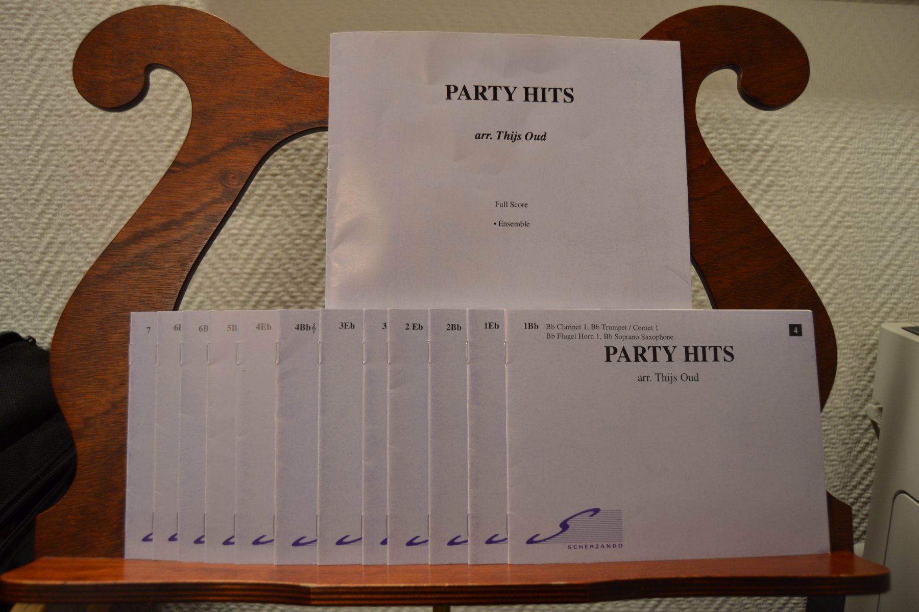 Libri: PARTY HITS arr. Thijs Oud – Nuovo (secondo la descrizione) da Büron venduto da Lizali 2