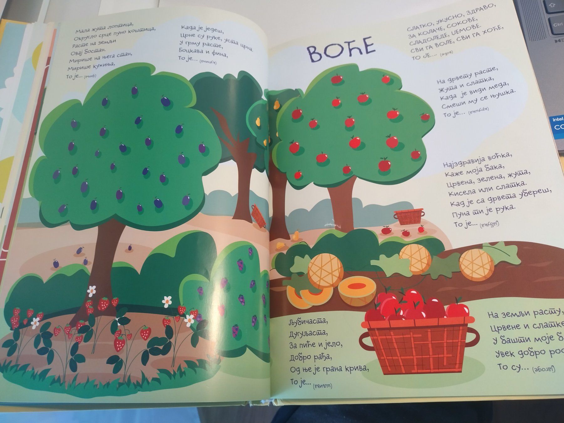 Libri: Kinderbuch - in serbisch - na srpskom – Usato da Muri AG venduto da Mupuputs 5