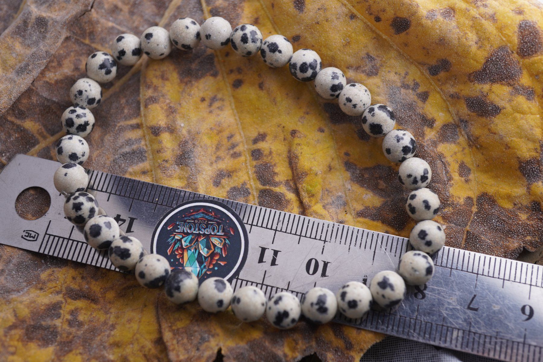 Minerali & Pietre curative: Dalmatiner Jaspis     Kugel Armband – Nuovo e nell'imballaggio originale da Eschenbach SG venduto da topstone 5