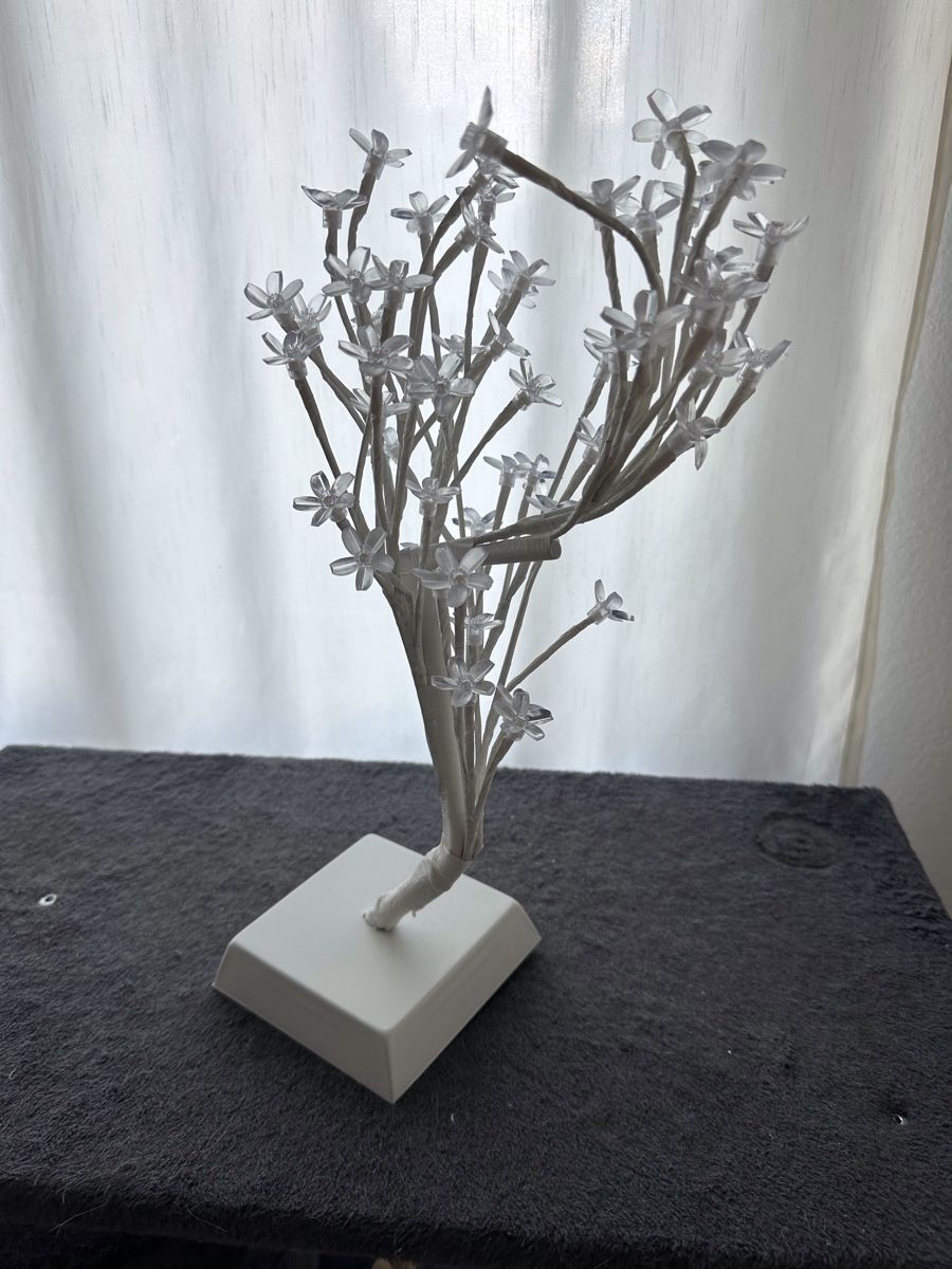 Tutte le decorazioni: Bonsai Kirschblüten weiss – Usato da Glattbrugg venduto da sab_989l