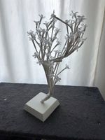 Bonsai Kirschblüten weiss