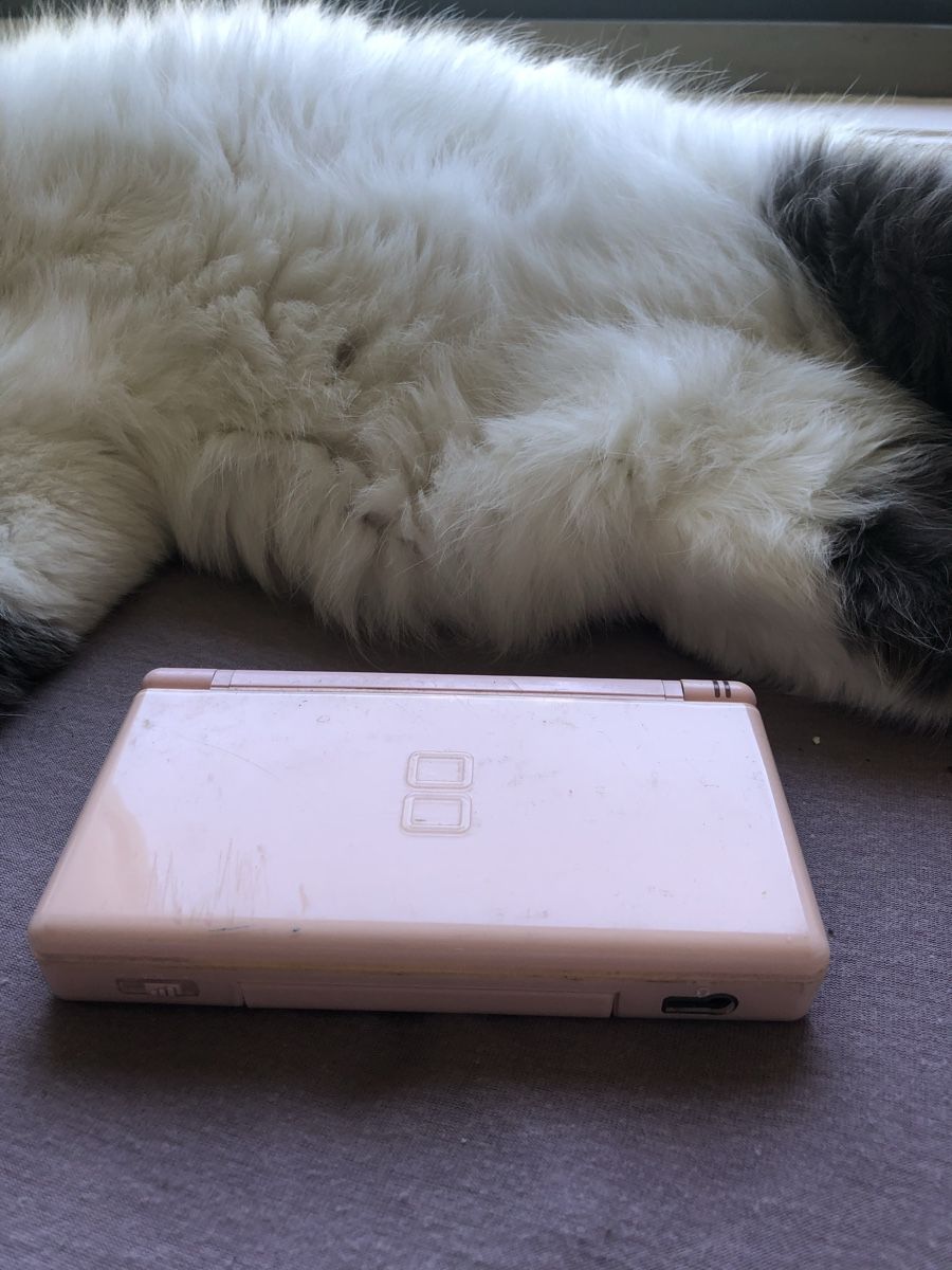 Nintendo Consoles: Console Nintendo DS Lite rose – D'occasion à Ecublens VD par eww_mvr8 1