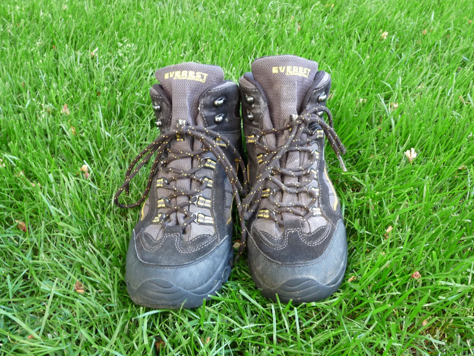Everest Scarpe da uomo: Everest Wanderschuhe, Gr. 41, Top Zustand, – Usato da Lohn-Ammannsegg venduto da dom_zfv2