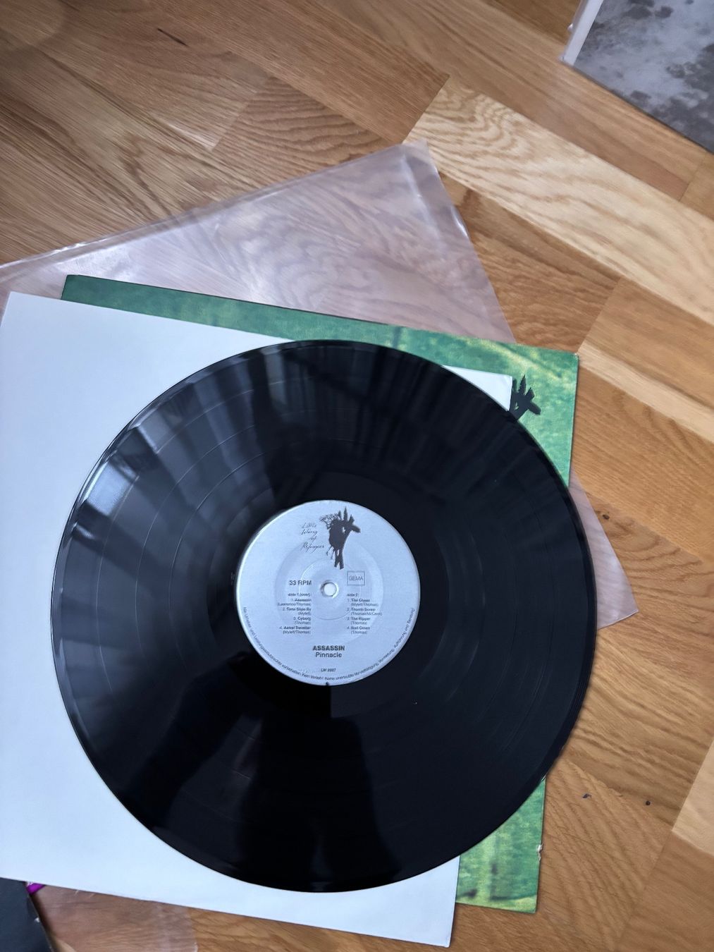Dischi in vinile: Pinnacle Assassin 1974 Hard Rock uk – Usato da Zürich venduto da manuunited 2