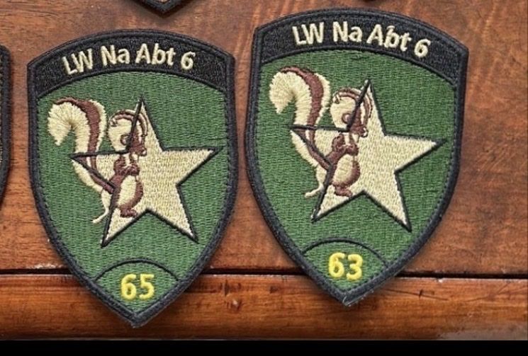 Schweizer Armee Placchette & Badge: LW Nat abt – Usato da Morbio Inferiore venduto da Ecod