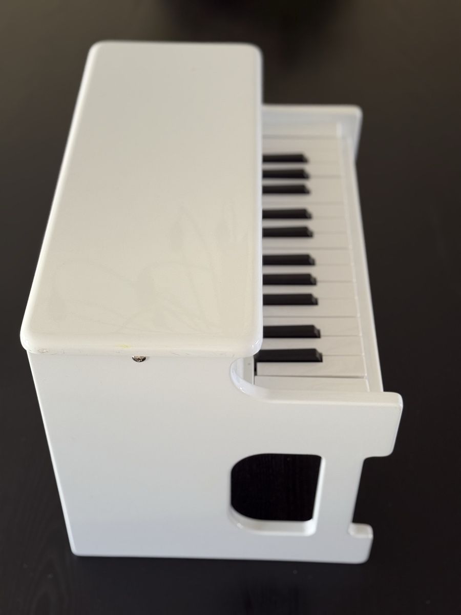 Korg Strumenti musicali: KORG tinyPiano Mini Klavier, weiss! – Usato da Arlesheim venduto da COMA14 4